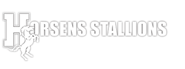 Horsens Stallions logo
